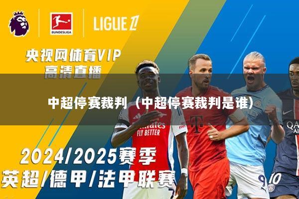 中超停赛裁判（中超停赛裁判是谁）
