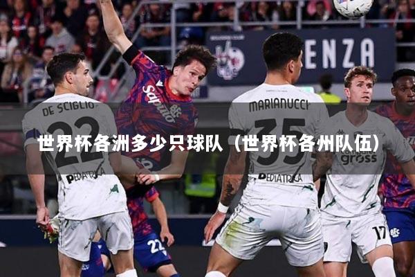 世界杯各洲多少只球队（世界杯各州队伍）