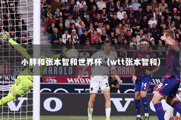 小胖和张本智和世界杯（wtt张本智和）