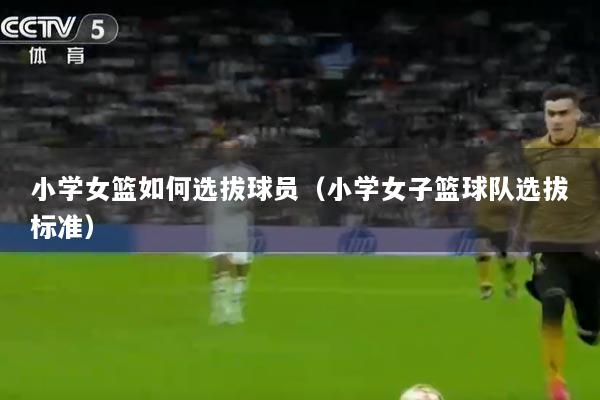 小学女篮如何选拔球员(小学女子篮球队选拔标准)