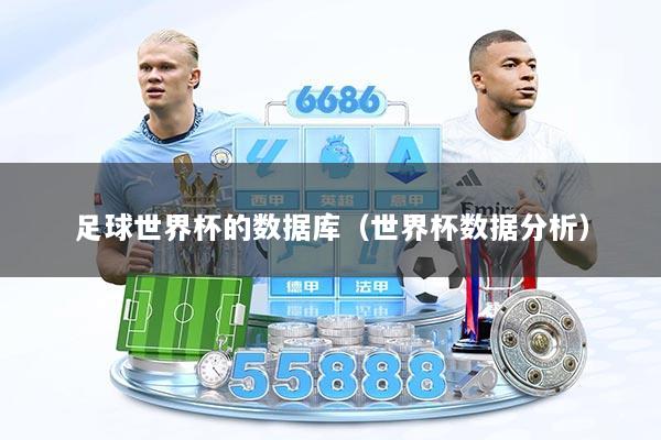 足球世界杯的数据库(世界杯数据分析)