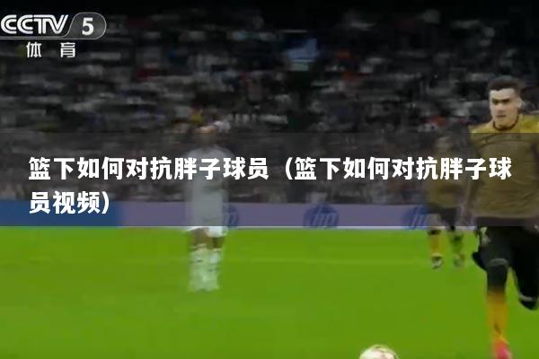 篮下如何对抗胖子球员（篮下如何对抗胖子球员视频）